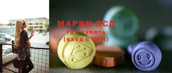 apvp Бородино