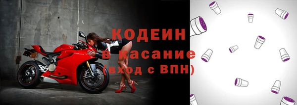 apvp Бородино