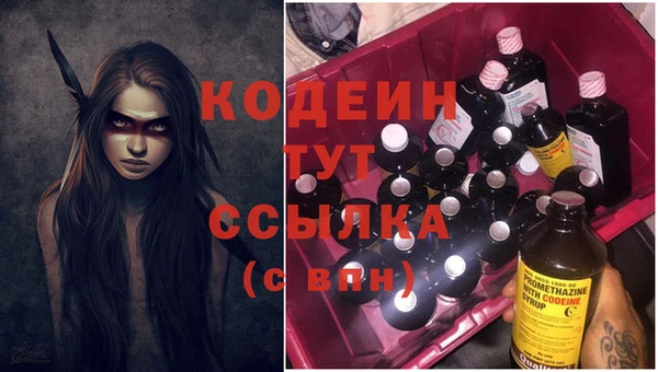 apvp Бородино