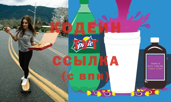 apvp Бородино