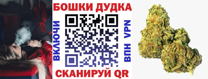 Шишки марихуана AK-47  Купить закладки  Ардатов 